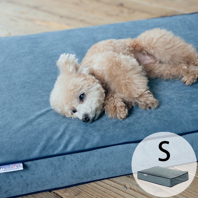 FrancePet �ե�󥹥ڥå� PE11 �ڥåȥޥåȥ����������� S