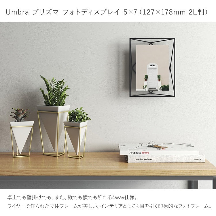 Umbra ֥ ץꥺ եȥǥץ쥤 57