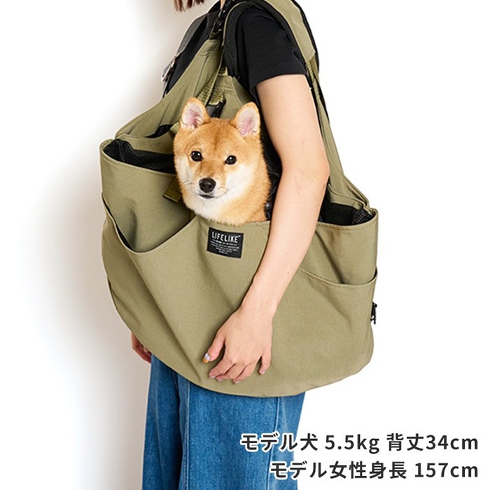 LIFELIKE �饤�ե饤�� 2WAY����꡼�٥���