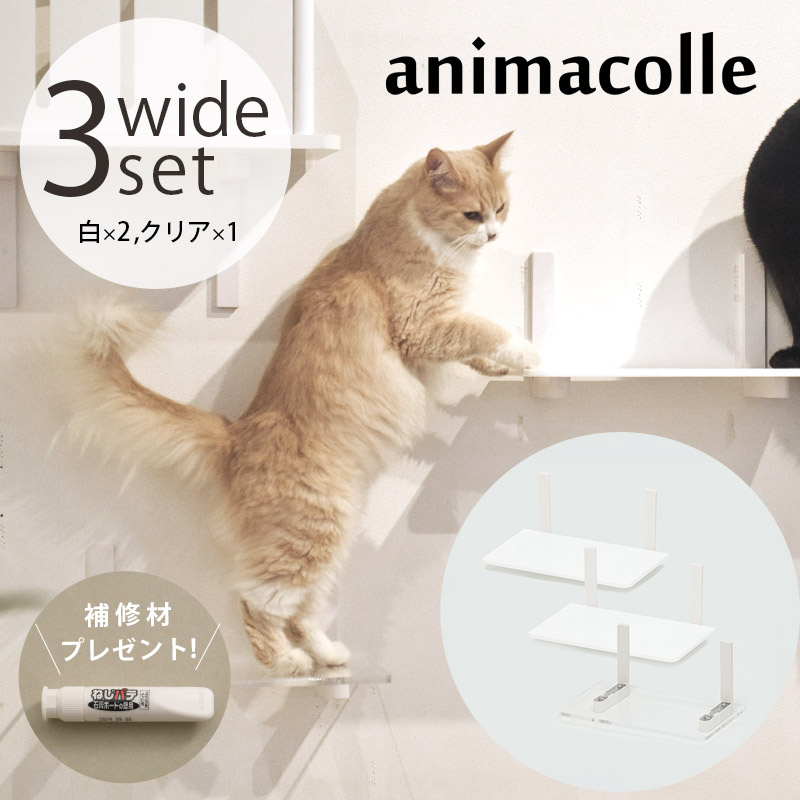 animacolle ���˥ޥ��� Catroad+ �磻�ɥ��ƥå� 3�����åȡ� ��2�����ꥢ1��