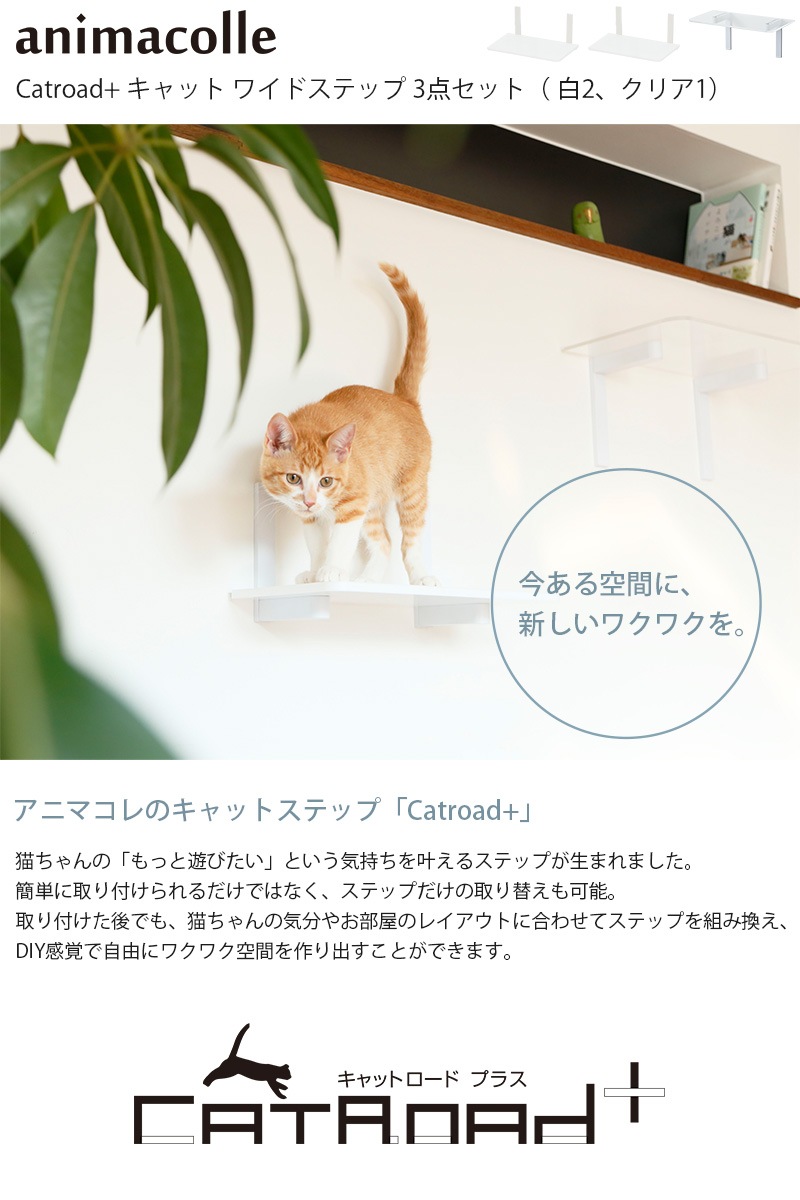 animacolle ���˥ޥ��� Catroad+ �磻�ɥ��ƥå� 3�����åȡ� ��2�����ꥢ1��