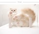 animacolle ���˥ޥ��� Catroad+ �磻�ɥ��ƥå� 3�����åȡ� ��2�����ꥢ1��