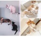 animacolle ���˥ޥ��� Catroad+ �磻�ɥ��ƥå� 3�����åȡ� ��2�����ꥢ1��