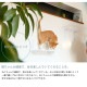 animacolle ���˥ޥ��� Catroad+ �磻�ɥ��ƥå� 3�����åȡ� ��2�����ꥢ1��