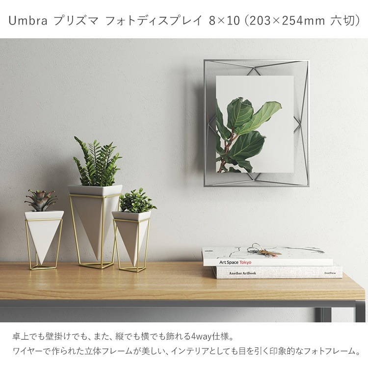 Umbra ֥ ץꥺ եȥǥץ쥤 810