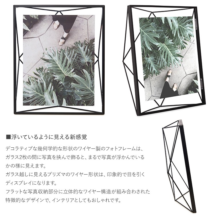 Umbra ֥ ץꥺ եȥǥץ쥤 810