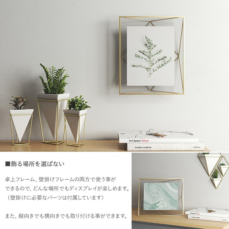 Umbra ֥ ץꥺ եȥǥץ쥤 810