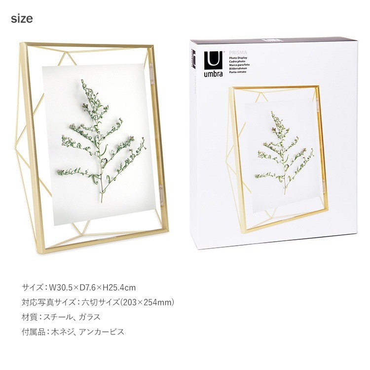 Umbra ֥ ץꥺ եȥǥץ쥤 810