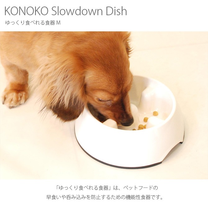 KONOKO Υ Slowdown Dish ä꿩٤뿩 M 7off