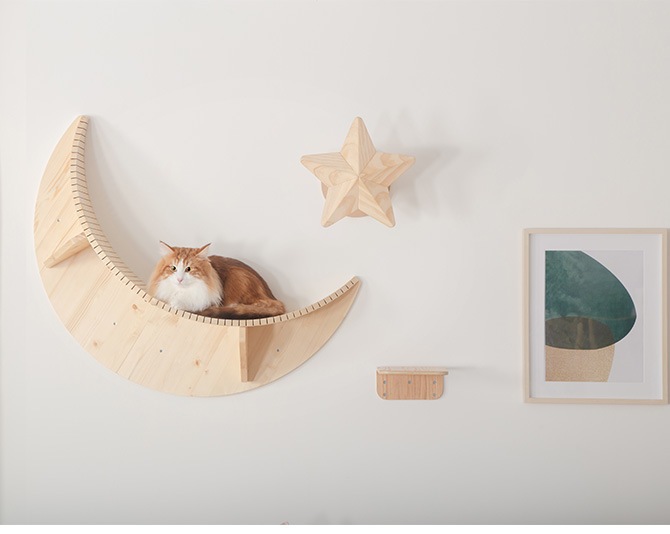 MYZOO �ޥ����� Twinkle Star ����åȥ��ƥå� �ޤȤ�