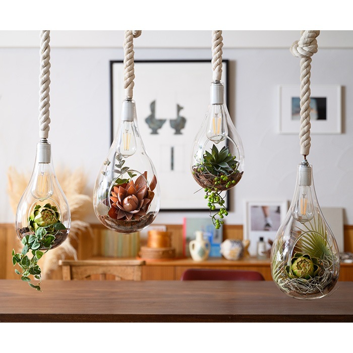 Another Garden ʥǥ ܥ˥åϥ󥮥󥰥饤 ե꡼󥻥å L