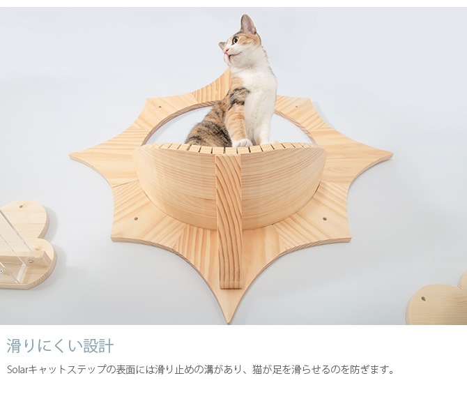 MYZOO �ޥ����� Solar ����åȥ��ƥå�