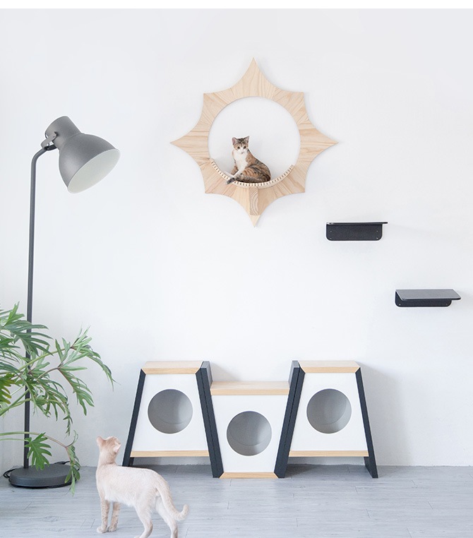 MYZOO �ޥ����� Solar ����åȥ��ƥå�