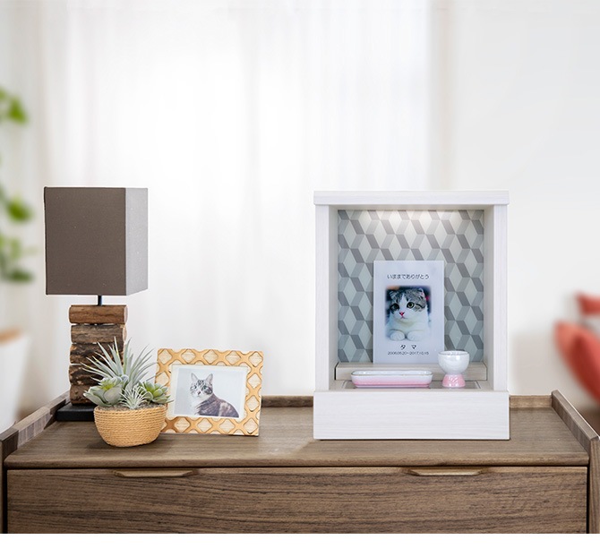 FrancePet �ե�󥹥ڥå� PPM-300�ڥå�ʩ��