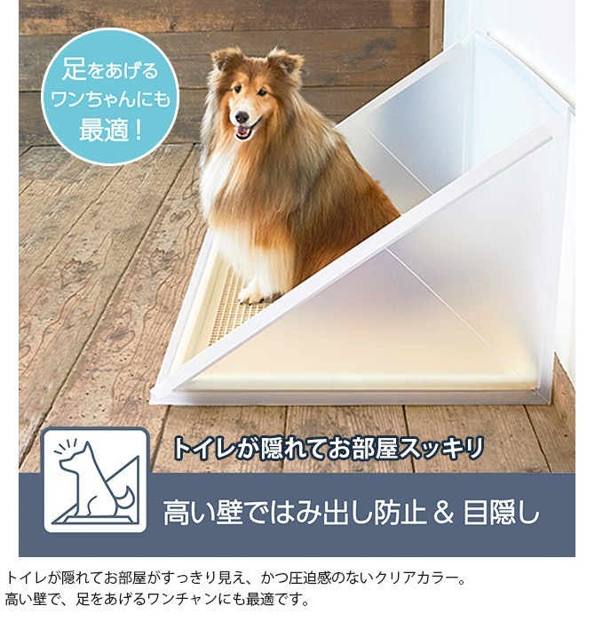 Bonbi �ܥ�ӥ��륳�� �ȥ��������������� �ץ饹���꡼�� XL 7off