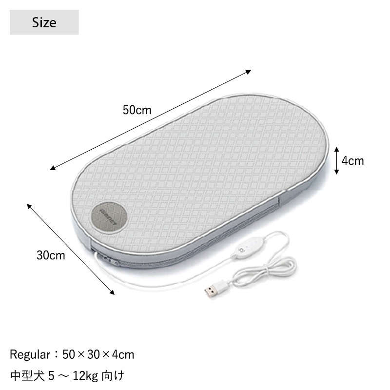AIRPET �����ڥå� R��Regular��