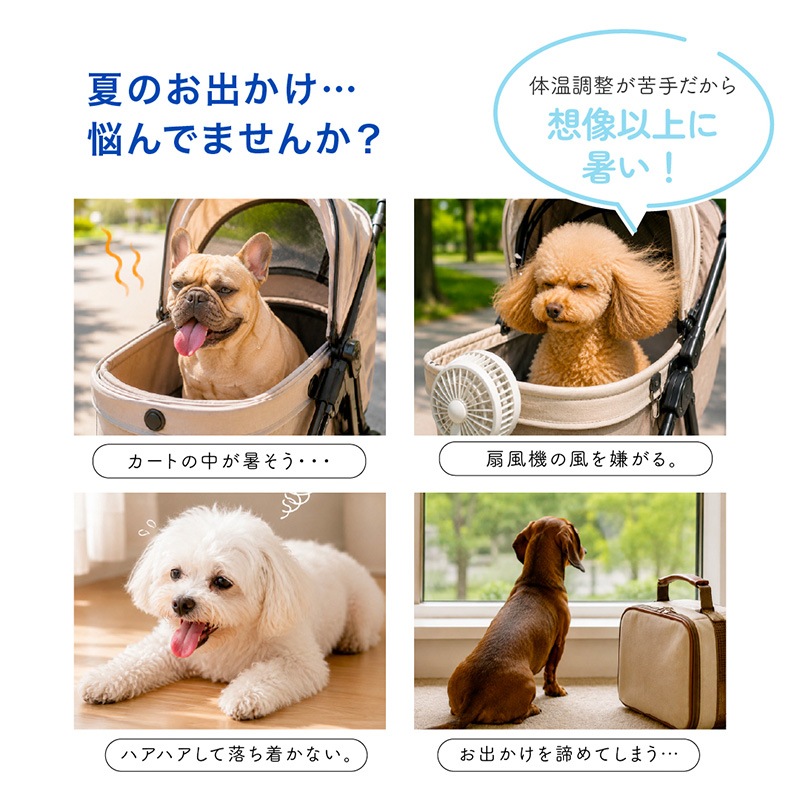 AIRPET �����ڥå� R��Regular��