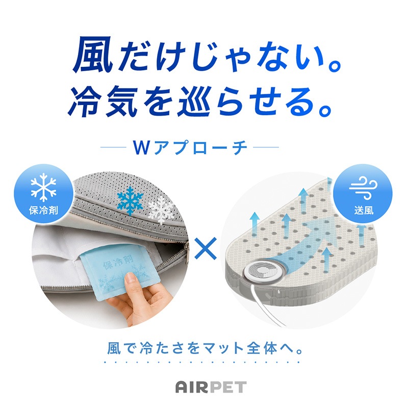AIRPET �����ڥå� R��Regular��