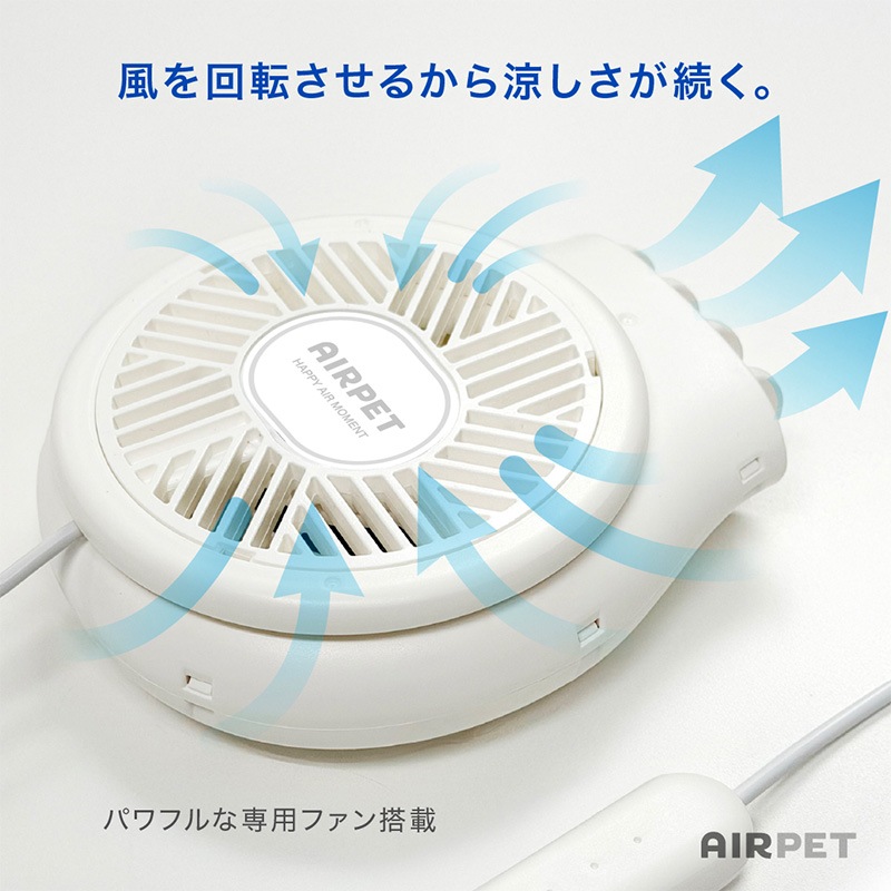 AIRPET �����ڥå� R��Regular��