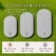 AIRPET �����ڥå� R��Regular��