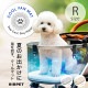 AIRPET �����ڥå� R��Regular��