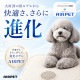 AIRPET �����ڥå� R��Regular��
