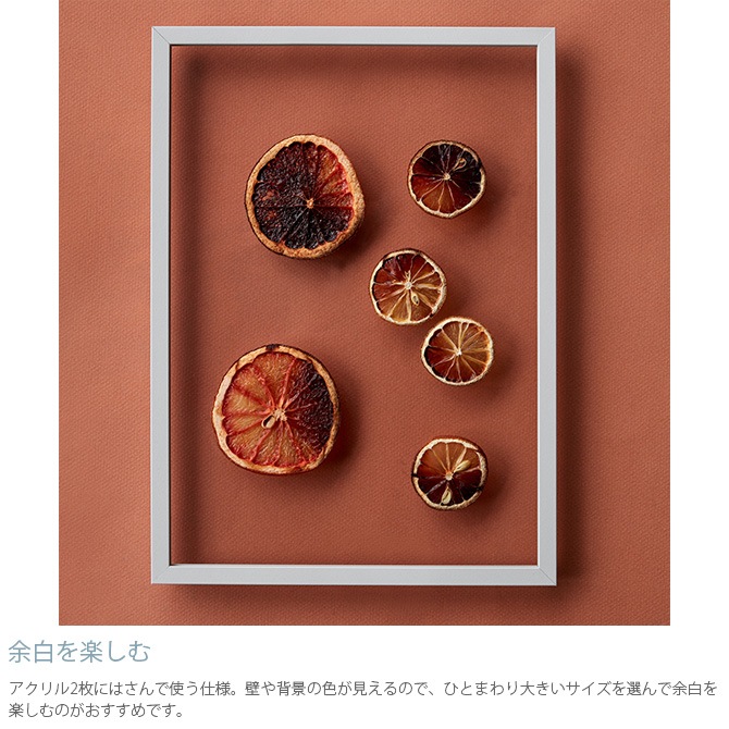 MOEBE ࡼ FRAME ե졼 A5