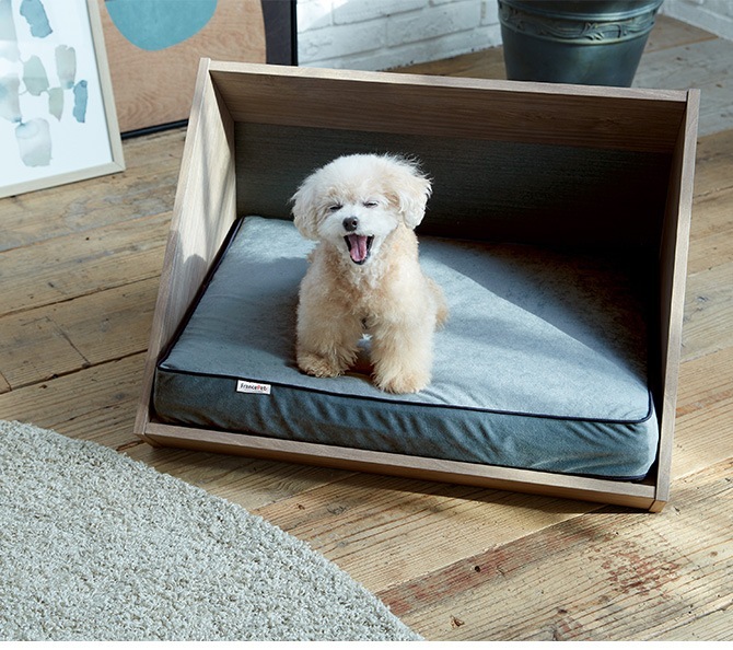 FrancePet �ե�󥹥ڥå� PE08 PET�ϥ������ơ�������