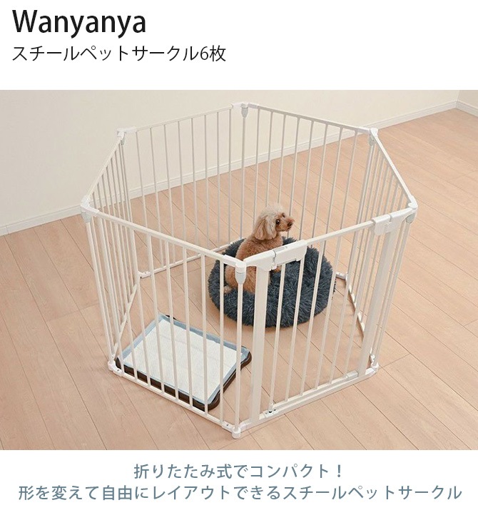 Wanyanya ��ˤ�ˤ� ��������ڥåȥ�������6��