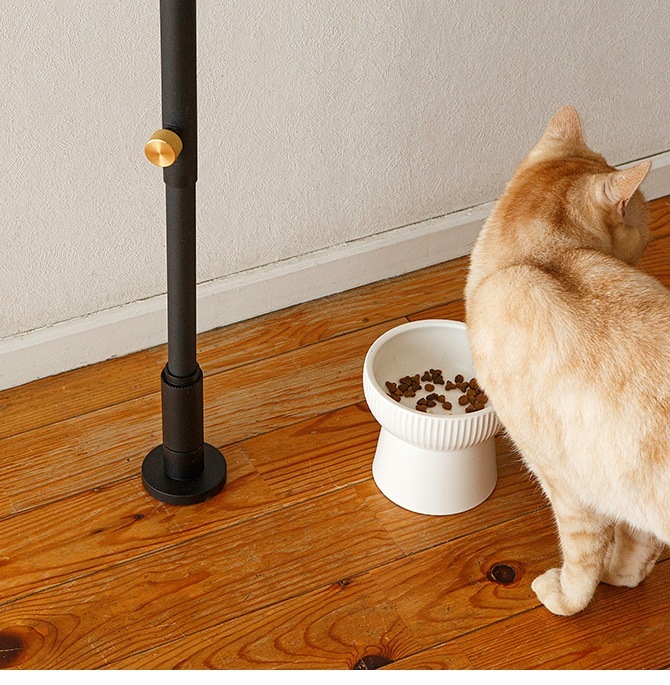 DRAW A LINE �ɥ������饤�� �ڥåȤȿ�ʪ���å�