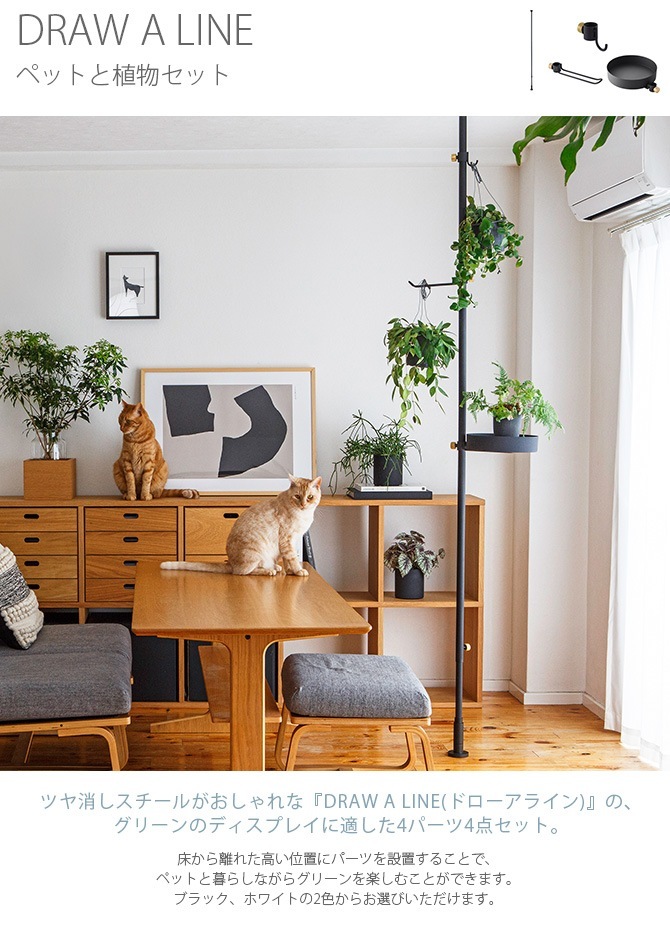 DRAW A LINE �ɥ������饤�� �ڥåȤȿ�ʪ���å�