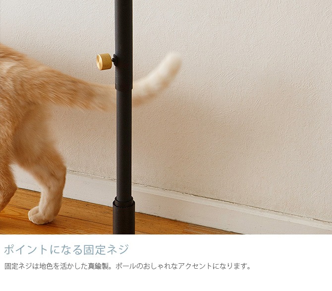 DRAW A LINE �ɥ������饤�� �ڥåȤȿ�ʪ���å�