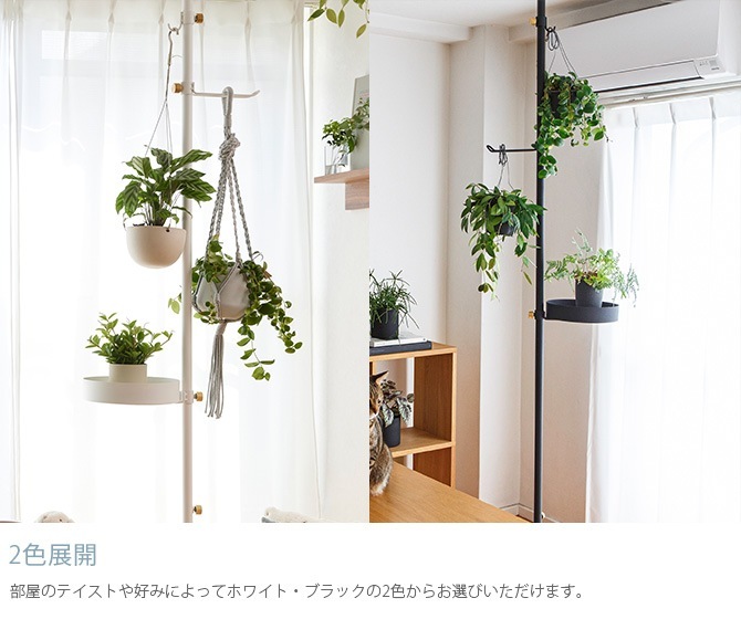 DRAW A LINE �ɥ������饤�� �ڥåȤȿ�ʪ���å�