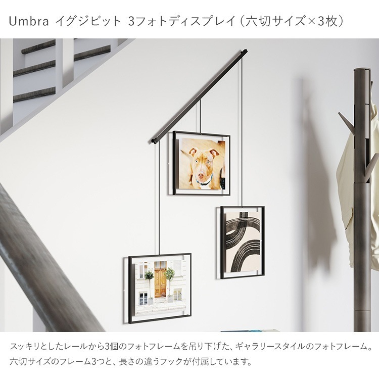 Umbra ֥ ӥå 3եȥǥץ쥤 810