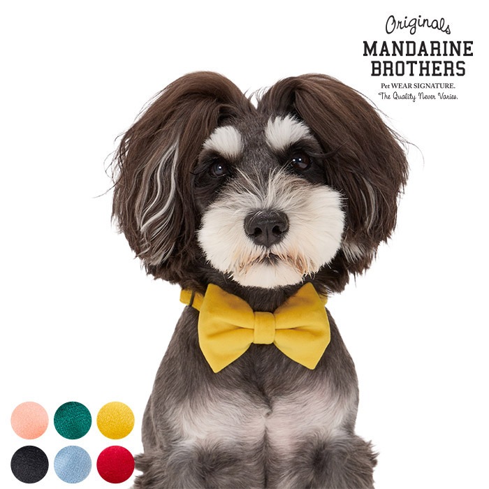 MANDARINE BROTHERS �ޥ�����֥饶���� �ܥ�����