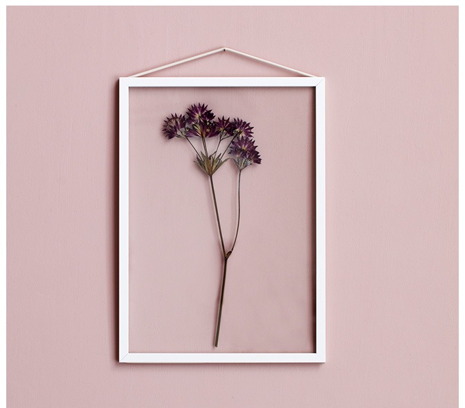 MOEBE ࡼ FRAME ե졼 A4