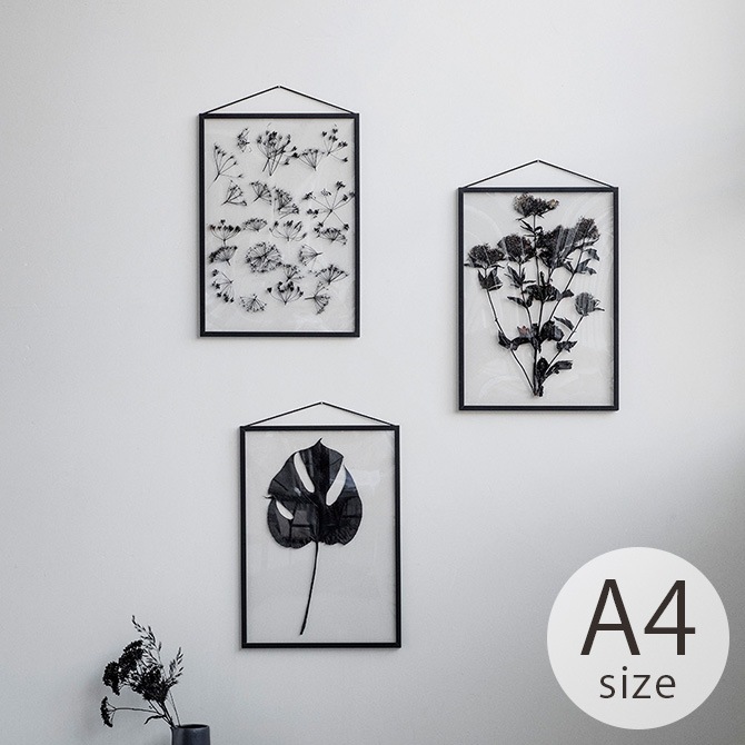 MOEBE ࡼ FRAME ե졼 A4