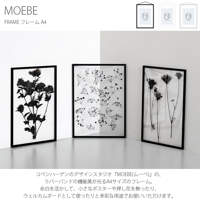 MOEBE ࡼ FRAME ե졼 A4