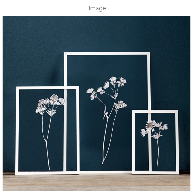 MOEBE ࡼ FRAME ե졼 A4