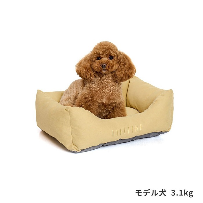 LIFELIKE �饤�ե饤�� �ĥ��륹�������٥å�