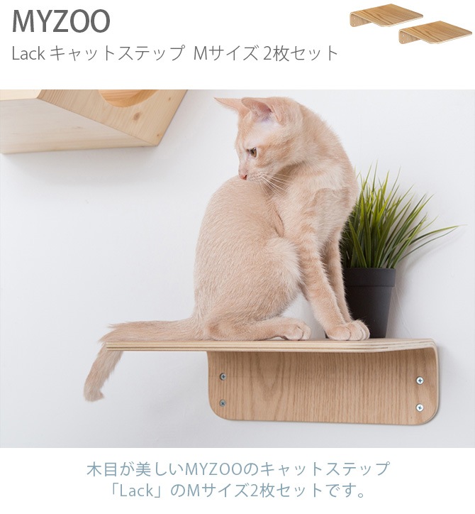 MYZOO �ޥ����� Lack M ����åȥ��ƥå� ��å� M 2�祻�å� ������