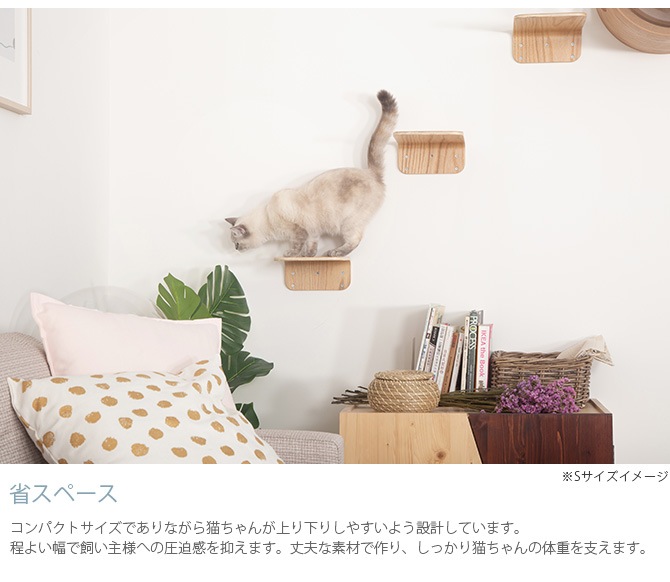 MYZOO �ޥ����� Lack M ����åȥ��ƥå� ��å� M 2�祻�å� ������