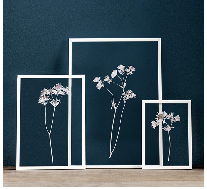 MOEBE ࡼ FRAME ե졼 A3