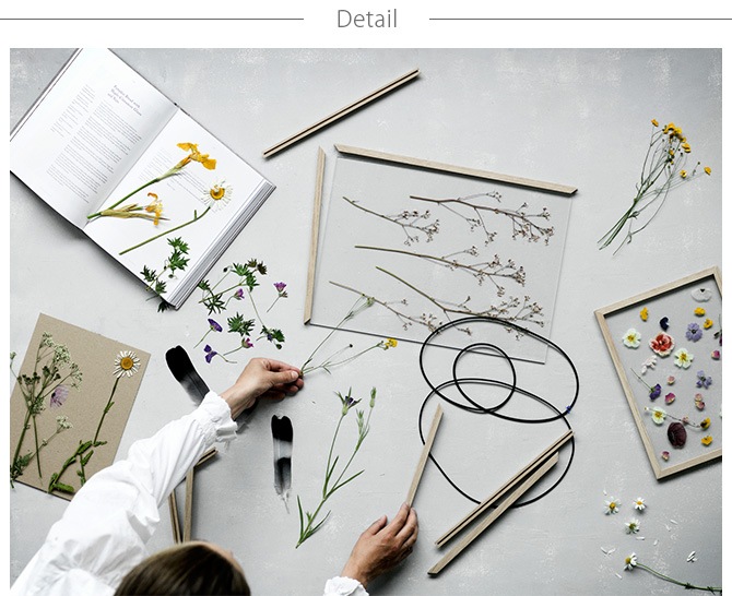 MOEBE ࡼ FRAME ե졼 A3