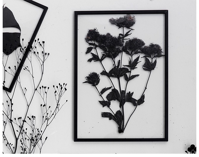 MOEBE ࡼ FRAME ե졼 A3