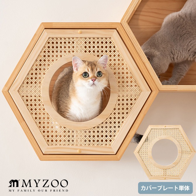 MYZOO �ޥ����� Busy Cat���� COVER RATTAN ���С��饿��