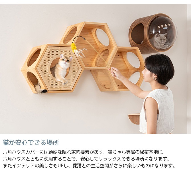 MYZOO �ޥ����� Busy Cat���� COVER RATTAN ���С��饿��