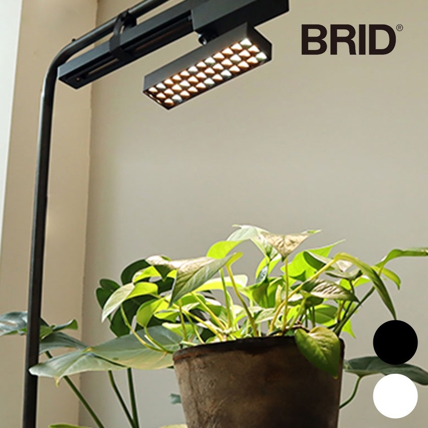 BRID ブリッド LED 植物育成ライト 20W | 商品種別,グリーン,ポット