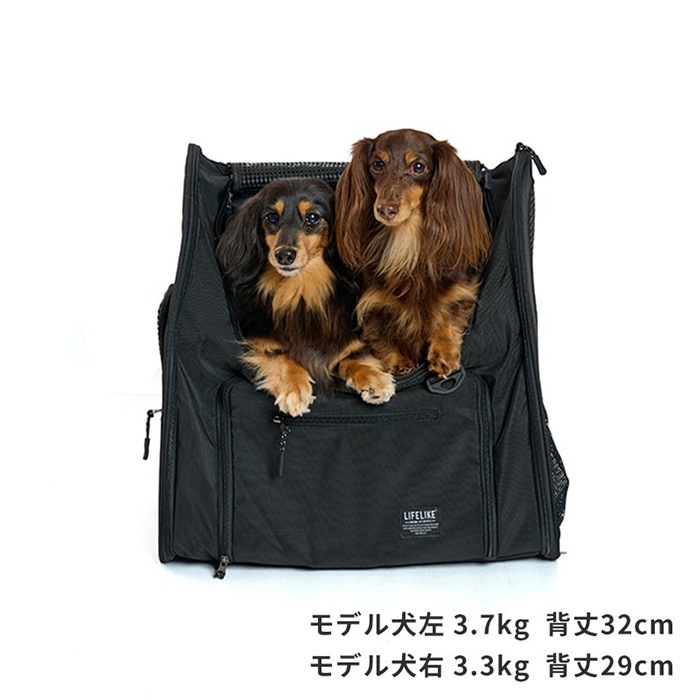 LIFELIKE �饤�ե饤�� �ե�����ɥ����Хå��ѥå�