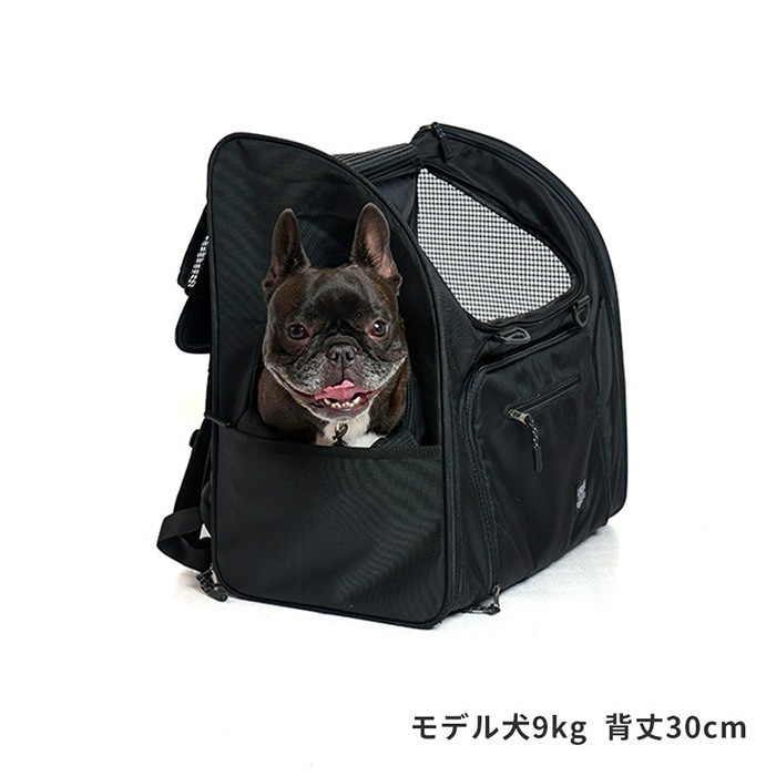 LIFELIKE �饤�ե饤�� �ե�����ɥ����Хå��ѥå�